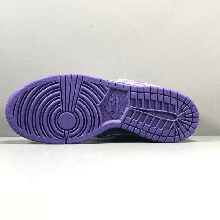 NIKE SB DUNK X CONCEPTS PURPLE LOBSTER